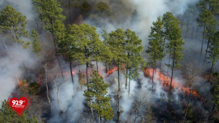Consejos para prevenir incendios forestales